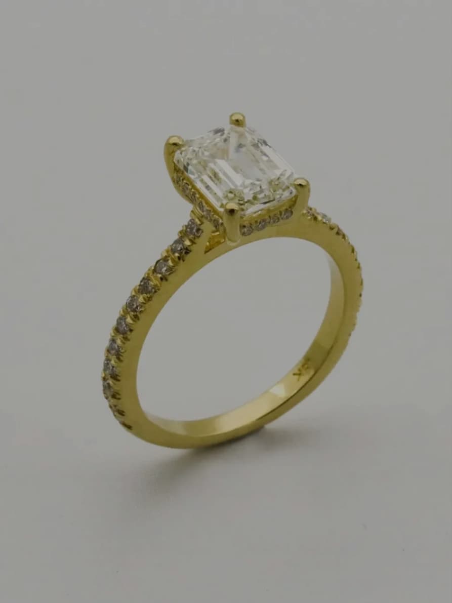 Fine Rings